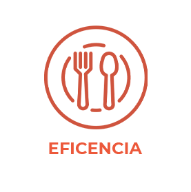 Eficencia